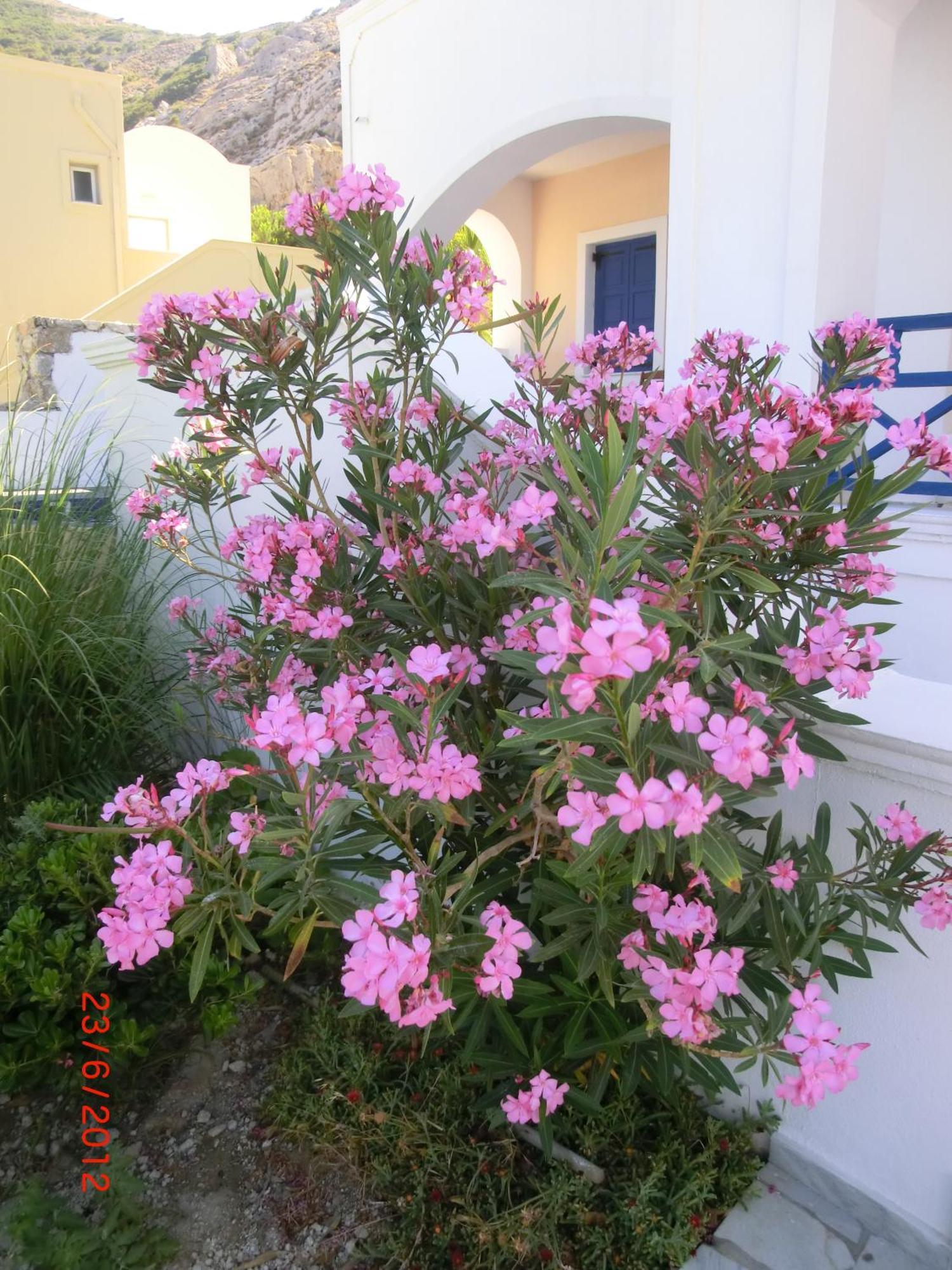 Aegean View Hotel Kamári Exteriör bild